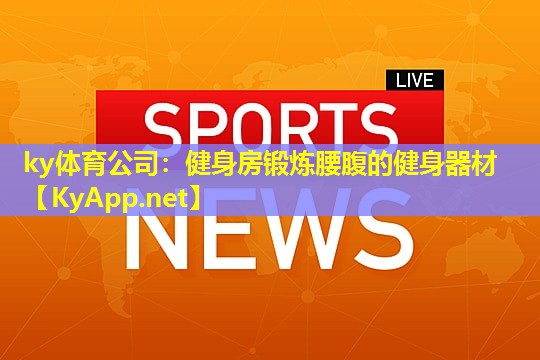 ky体育公司：健身房锻炼腰腹的健身器材
