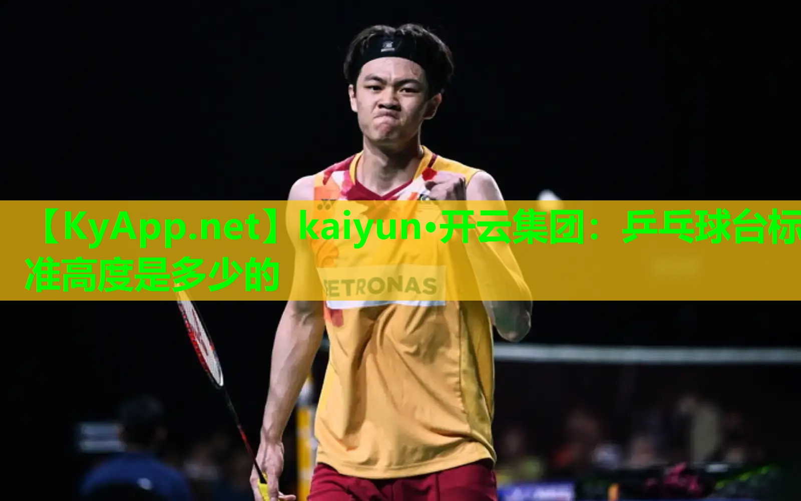 kaiyun·开云集团：乒乓球台标准高度是多少的