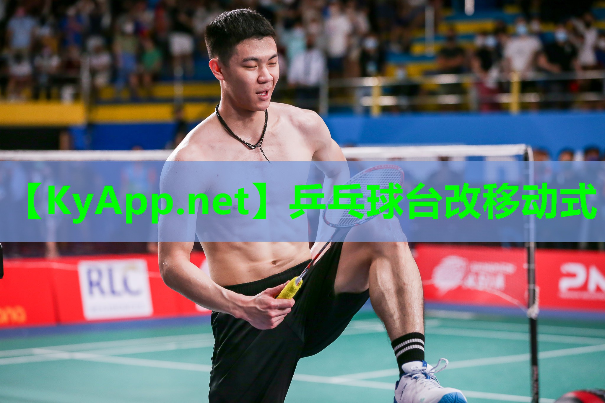 乒乓球台改移动式