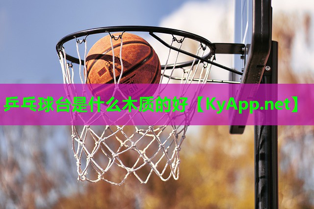 乒乓球台是什么木质的好
