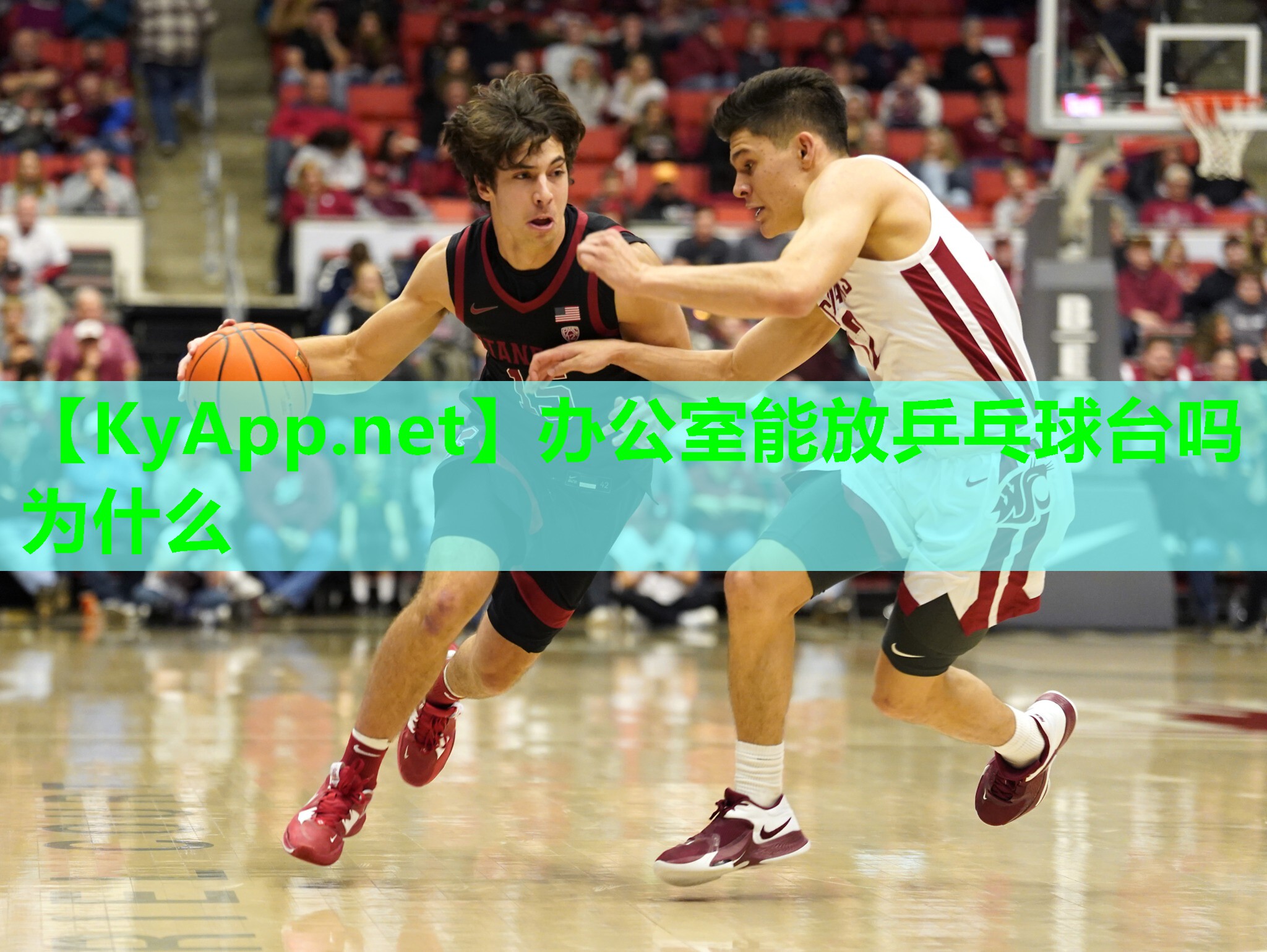 办公室能放乒乓球台吗为什么