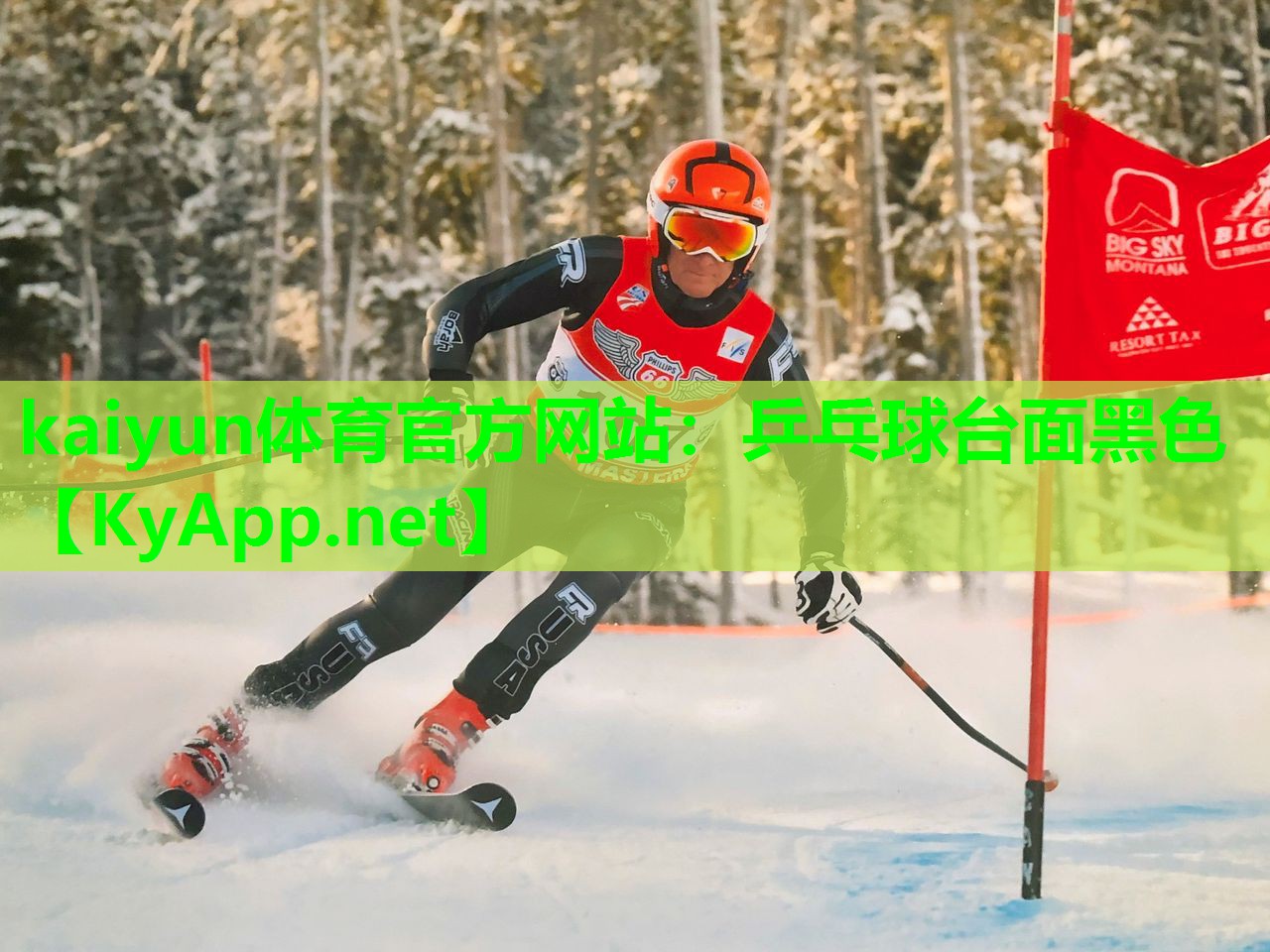 kaiyun体育官方网站：乒乓球台面黑色