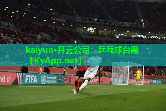 kaiyun·开云公司：乒乓球台黑