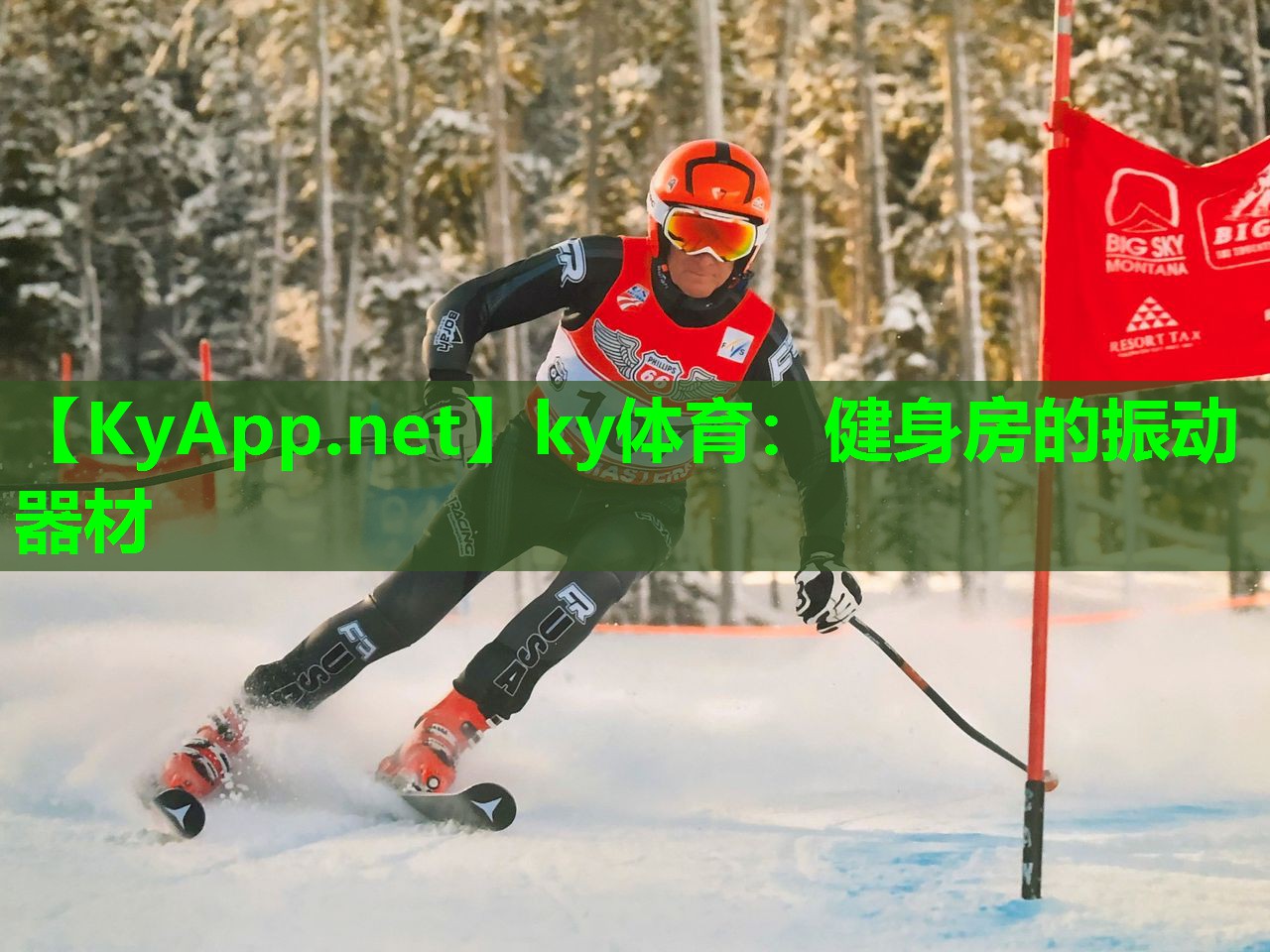 ky体育：健身房的振动器材