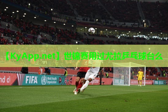 世锦赛用过尤拉乒乓球台么