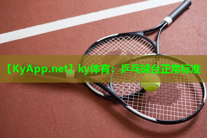 ky体育：乒乓球台正常标准