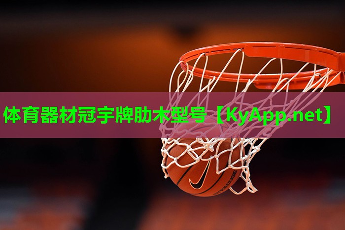 体育器材冠宇牌肋木型号
