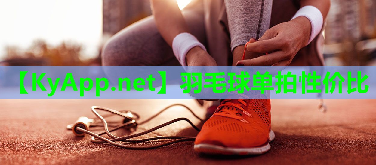 羽毛球单拍性价比