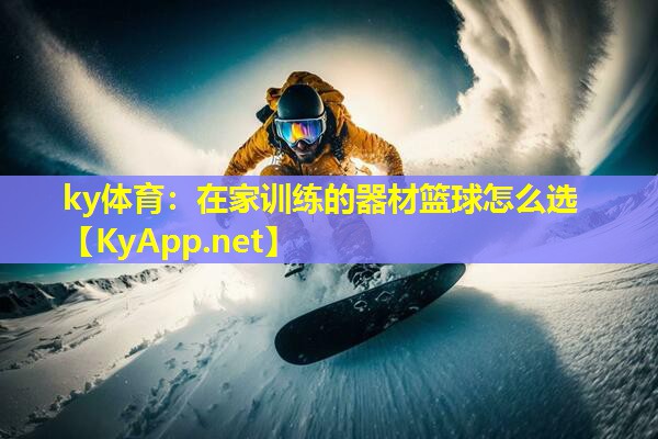 在家训练的器材篮球怎么选