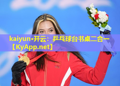 乒乓球台书桌二合一