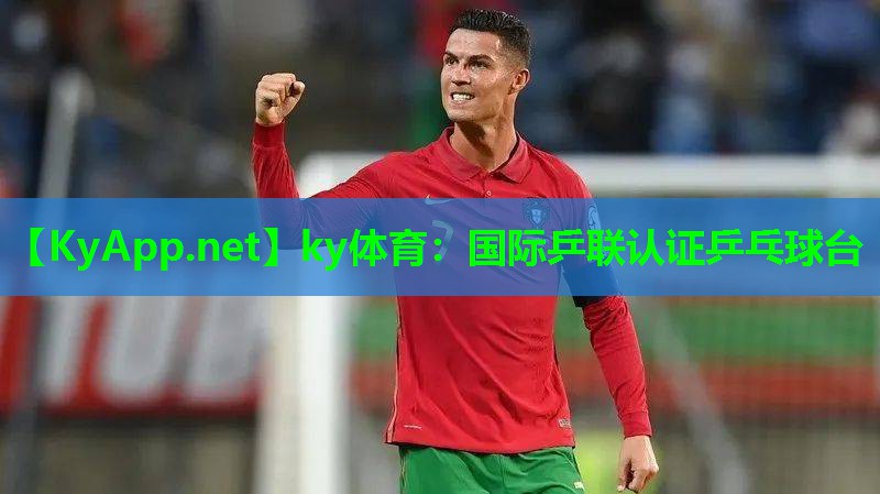 国际乒联认证乒乓球台