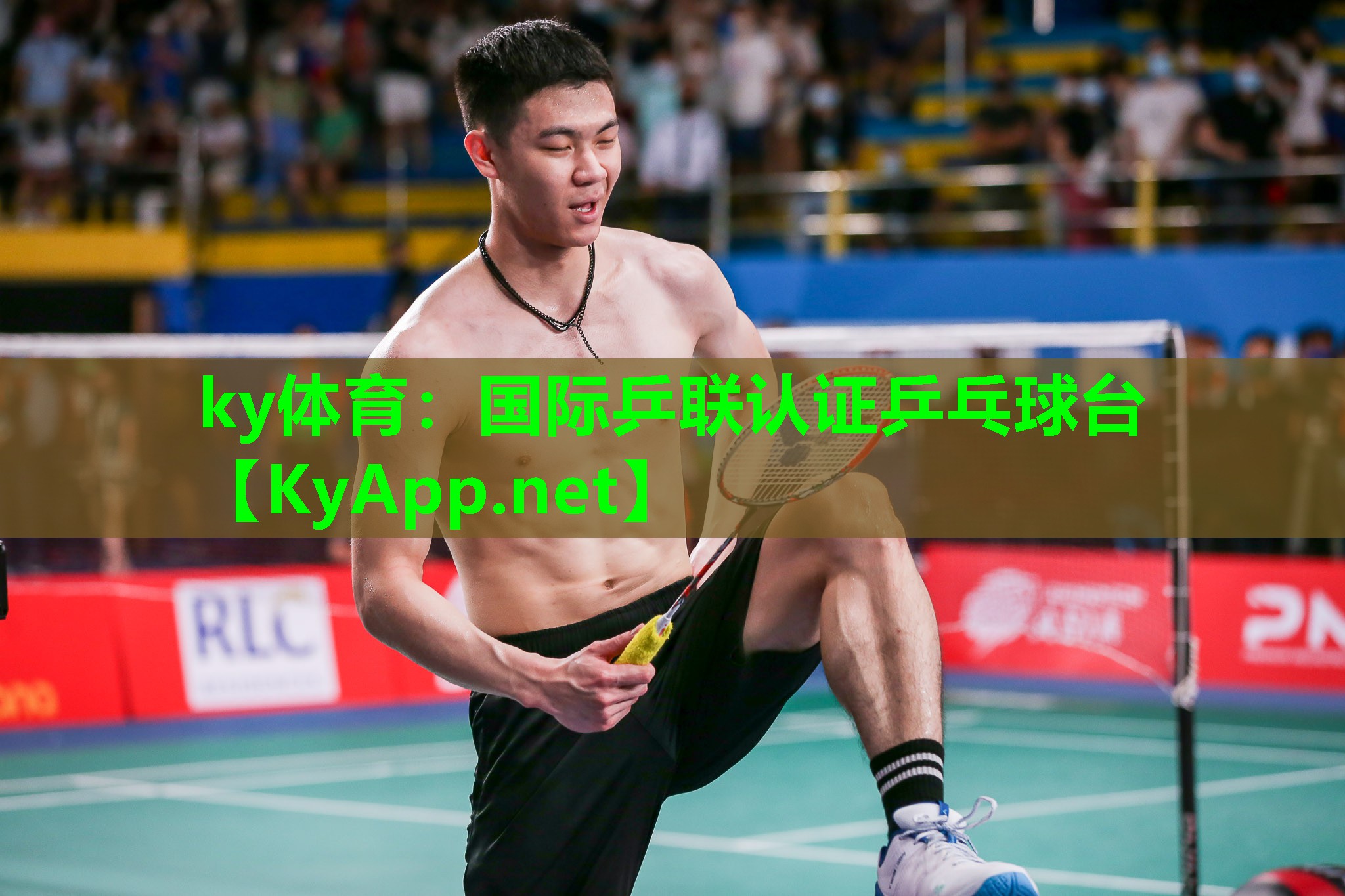 国际乒联认证乒乓球台