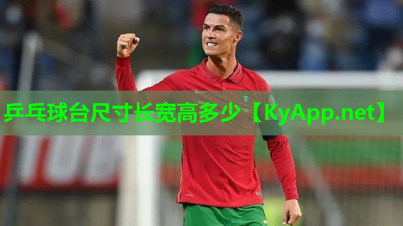 乒乓球台尺寸长宽高多少