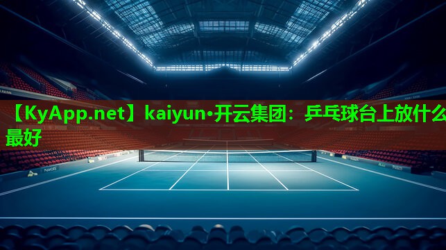 乒乓球台上放什么最好