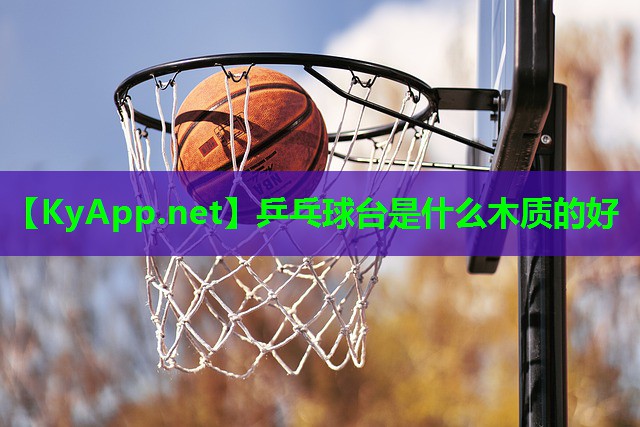 乒乓球台是什么木质的好