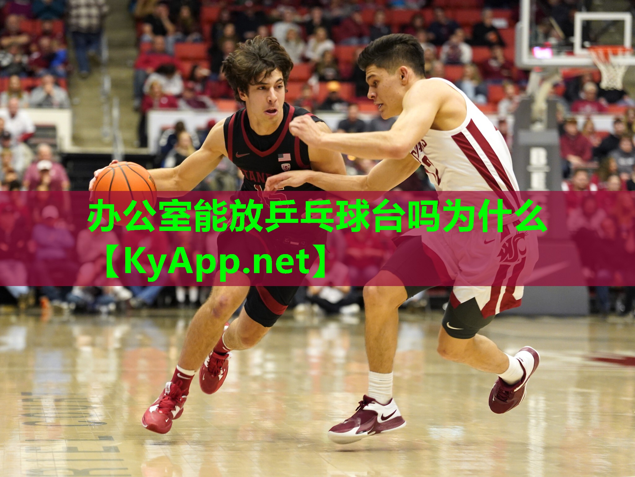 办公室能放乒乓球台吗为什么