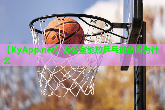 办公室能放乒乓球台吗为什么