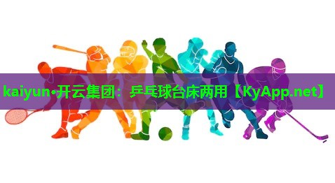 乒乓球台床两用