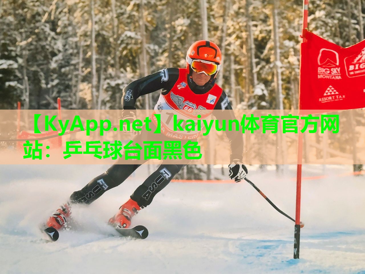 乒乓球台面黑色