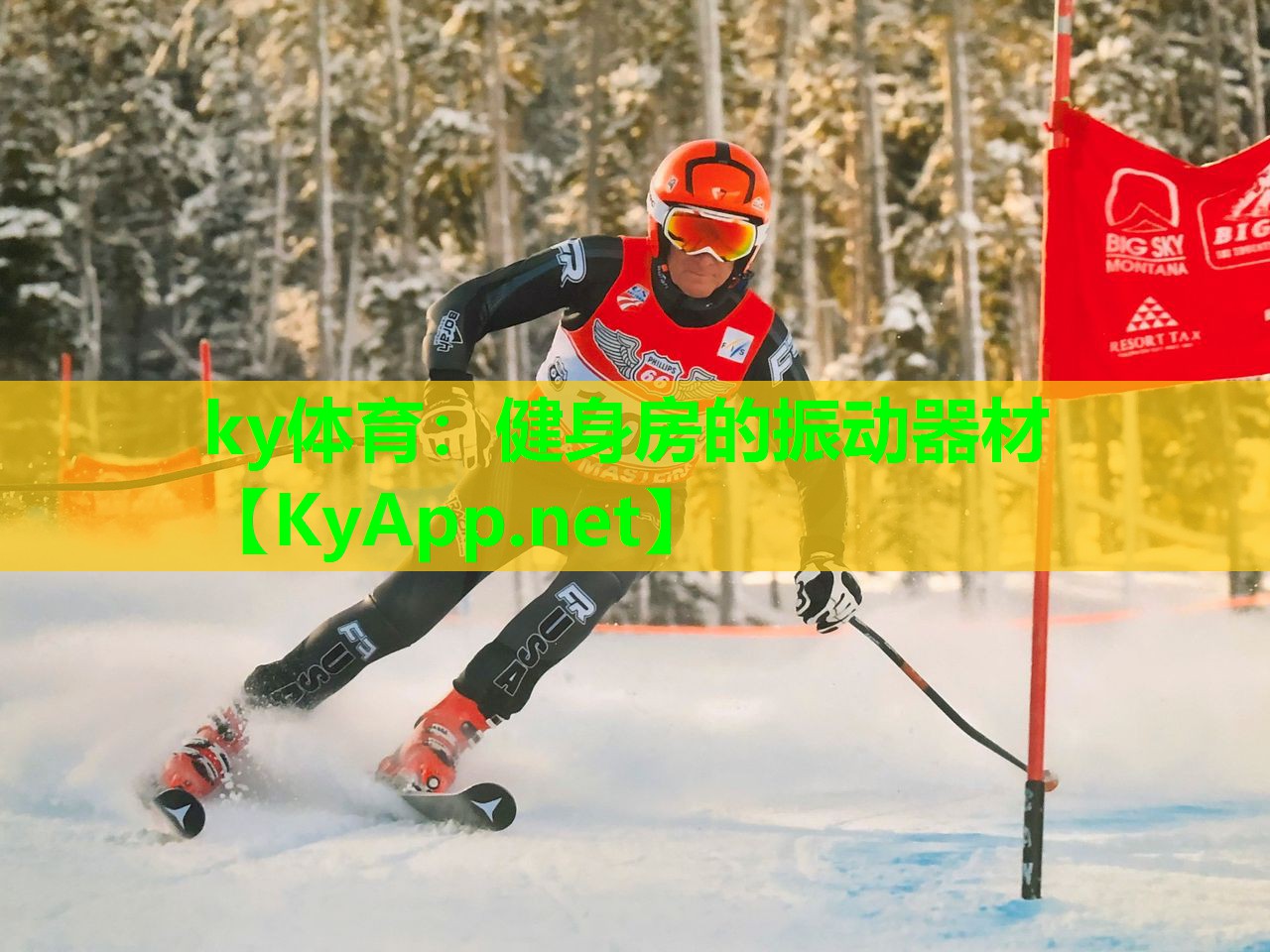 健身房的振动器材