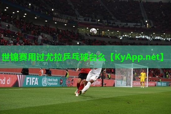 世锦赛用过尤拉乒乓球台么