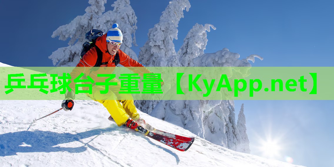 乒乓球台子重量