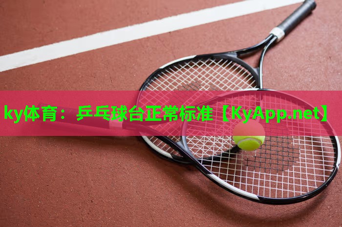 乒乓球台正常标准