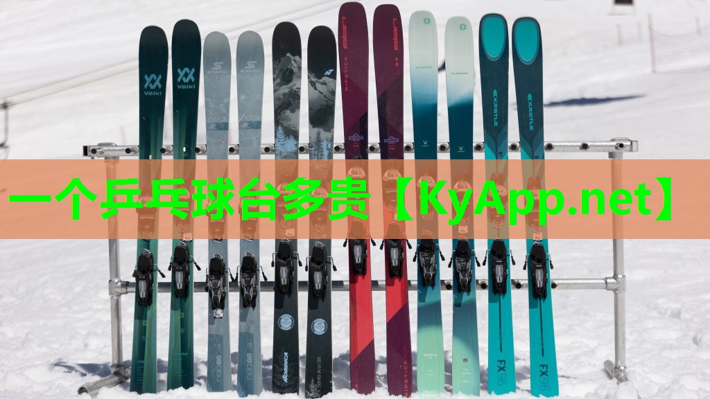 一个乒乓球台多贵