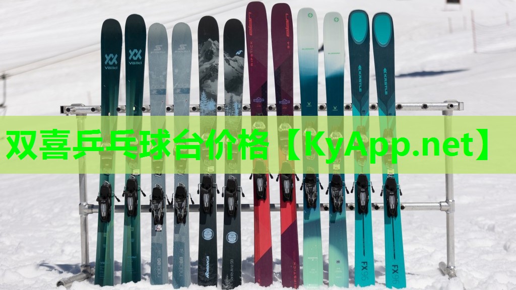 双喜乒乓球台价格